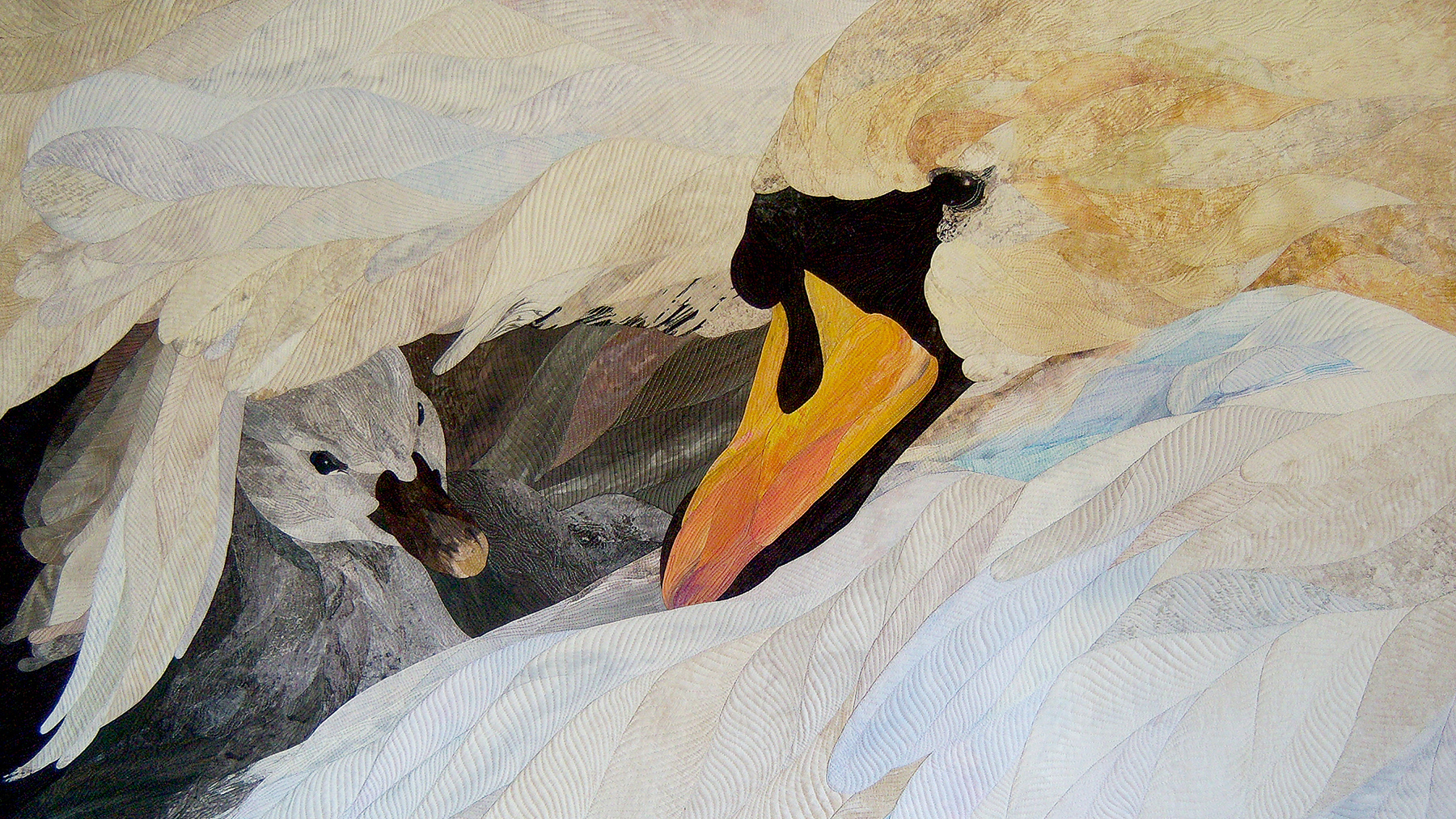 What’s New with Art Quilter David Taylor