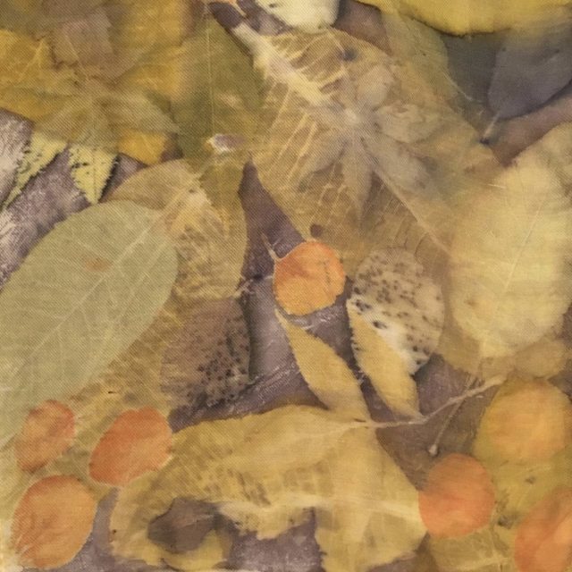Botanical Printing and Dyeing with Lisa Binkley